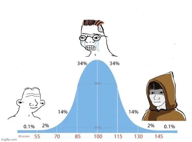 Beginner, intermediate and expert bell curve meme